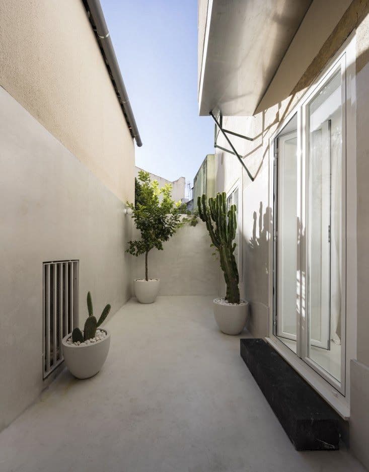 UV-Stable Heat-Resistant Outdoor Microcement Patio in Riyadh Light grey, smooth matte finish outdoor microcement flooring covering a sunlit patio courtyard with potted cacti and white walls. Seamless Microcement Floor installation by Floroz KSA.